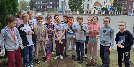 Wiosenny krzew 3b posadzony